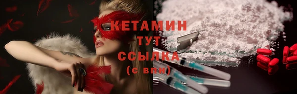 молекула духа Ельня