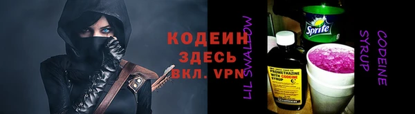 молекула духа Ельня