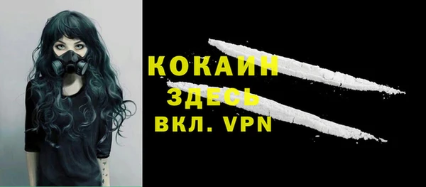 дурь Елизово