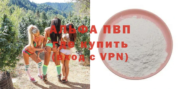 молекула духа Ельня