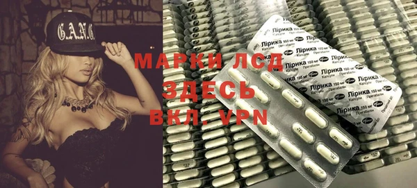 молекула духа Ельня