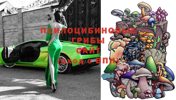 дурь Елизово