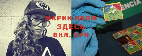 молекула духа Ельня