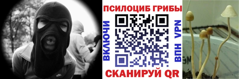 Купить закладки  Харовск  Псилоцибиновые грибы Psilocybine cubensis 
